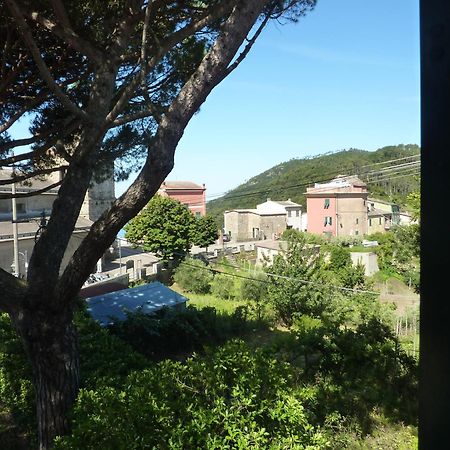 Hotel Silvia Framura - Cinque Terre Exterior foto