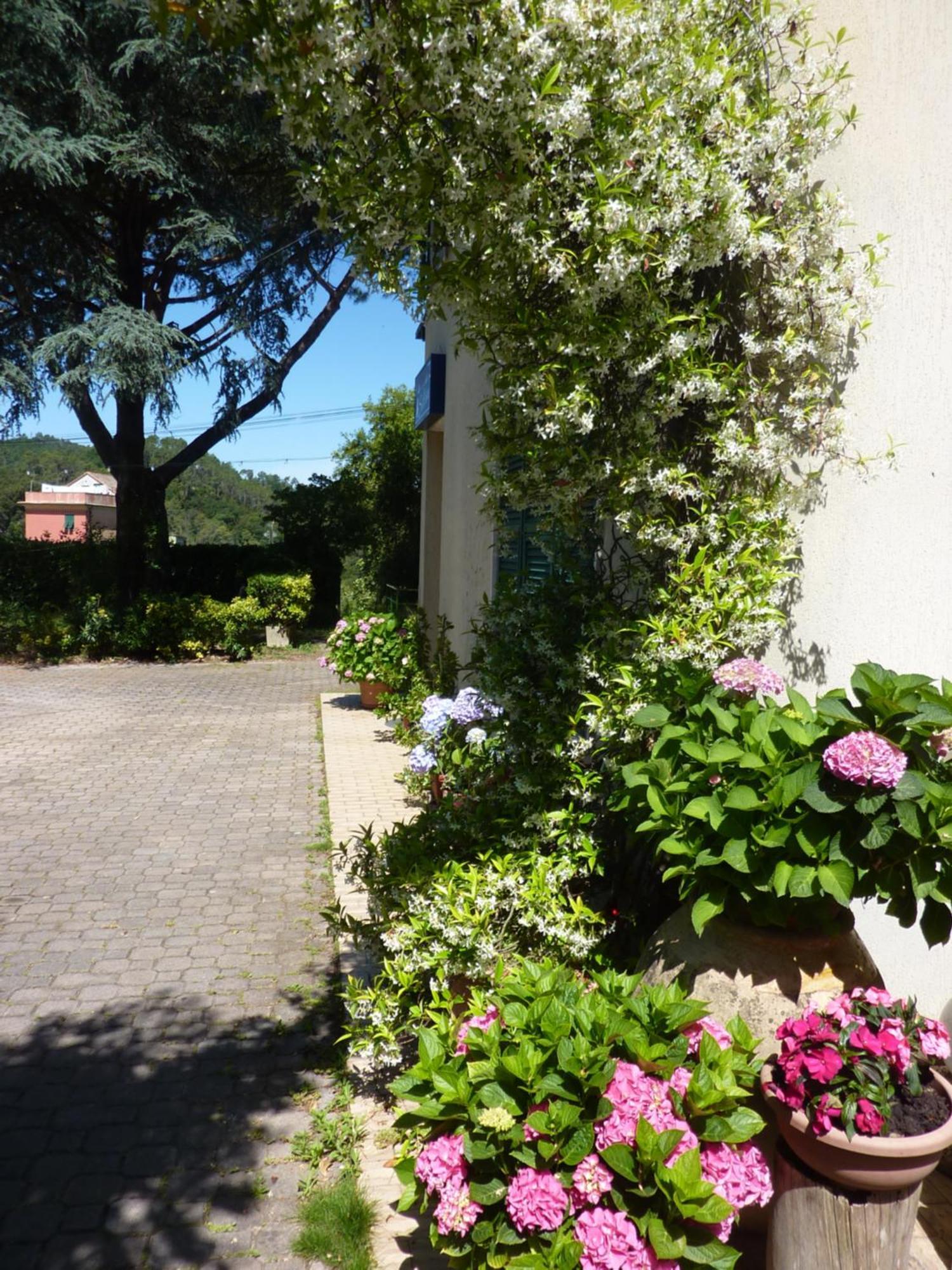 Hotel Silvia Framura - Cinque Terre Exterior foto